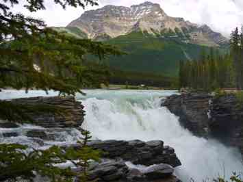 Planet Earth News: Endangered Species Act, New Chief Justice and National Forests